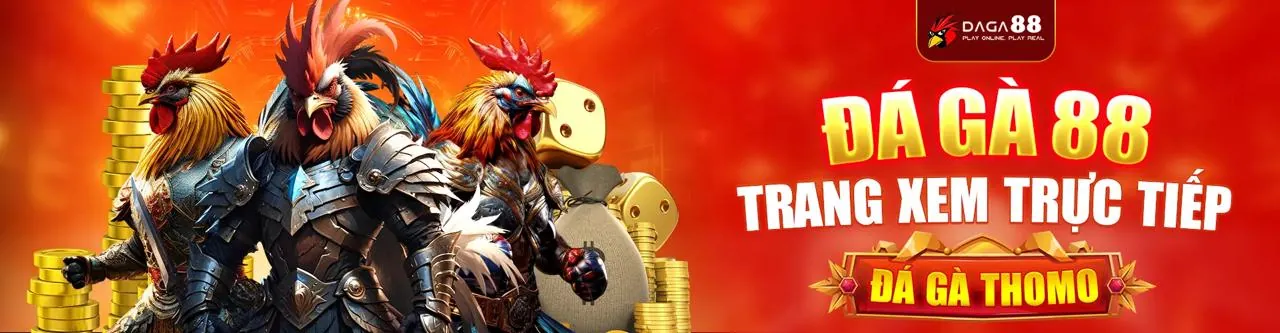Banner blog Sanvip Code với ưu đãi độc quyền